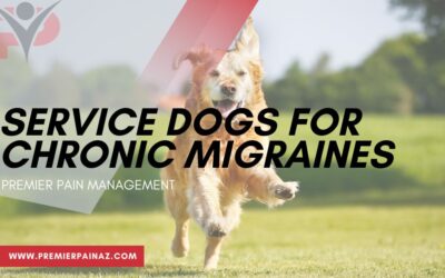 Service Dogs for Chronic Migraines